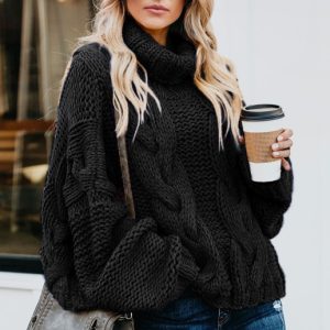 Women's  Thick Knit Turtleneck Pullover Sweater