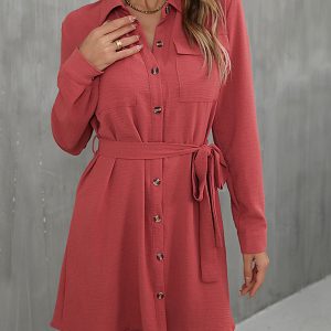 Women's lapel commuter laced shirt dress