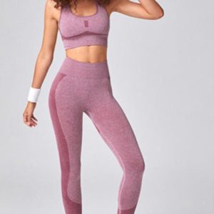 Women's Seamless Mesh Quick Dry Bra Yoga Set